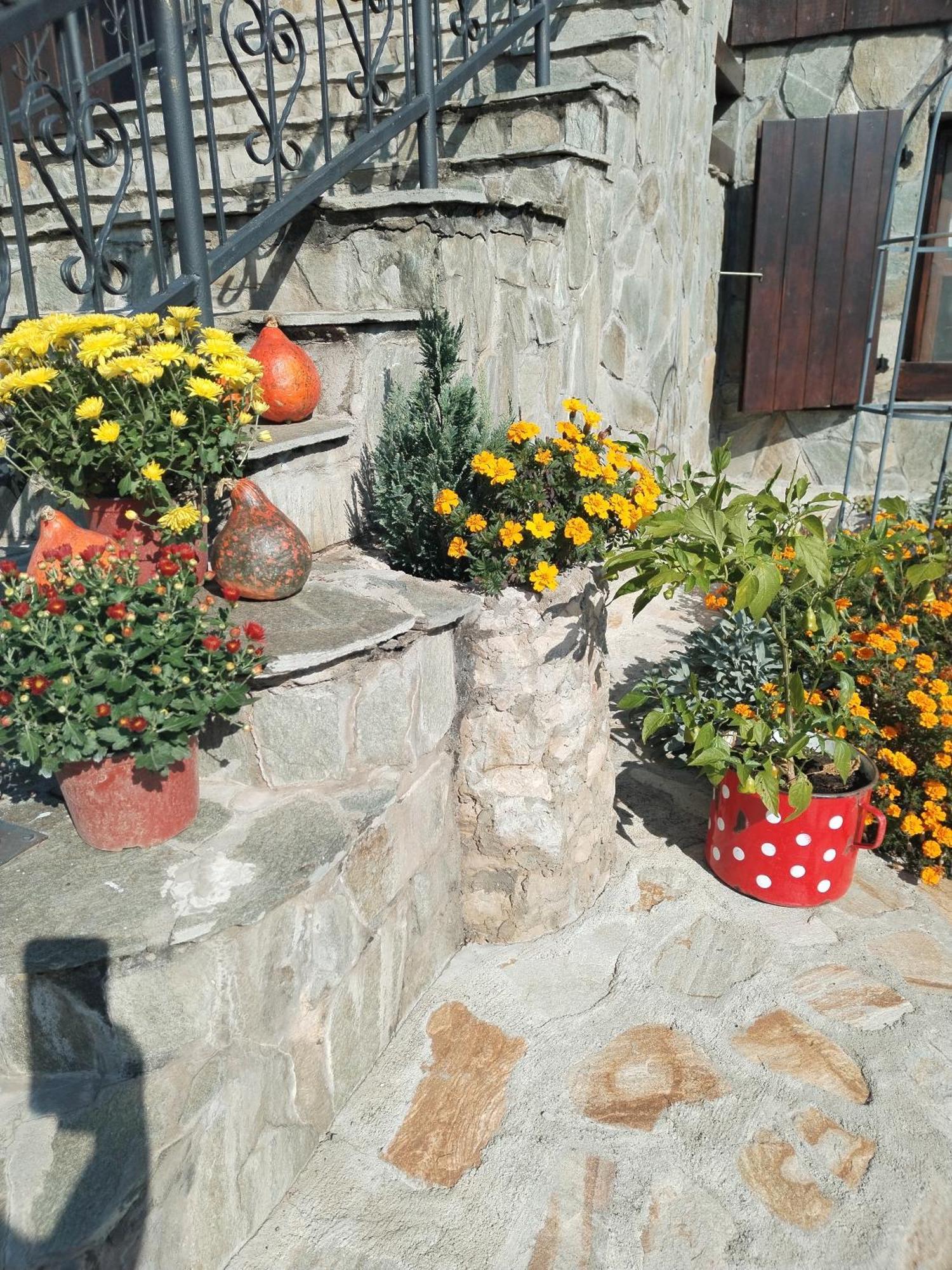 Seosko Turisticko Domacinstvo Imunsan Villa Nis Exterior photo